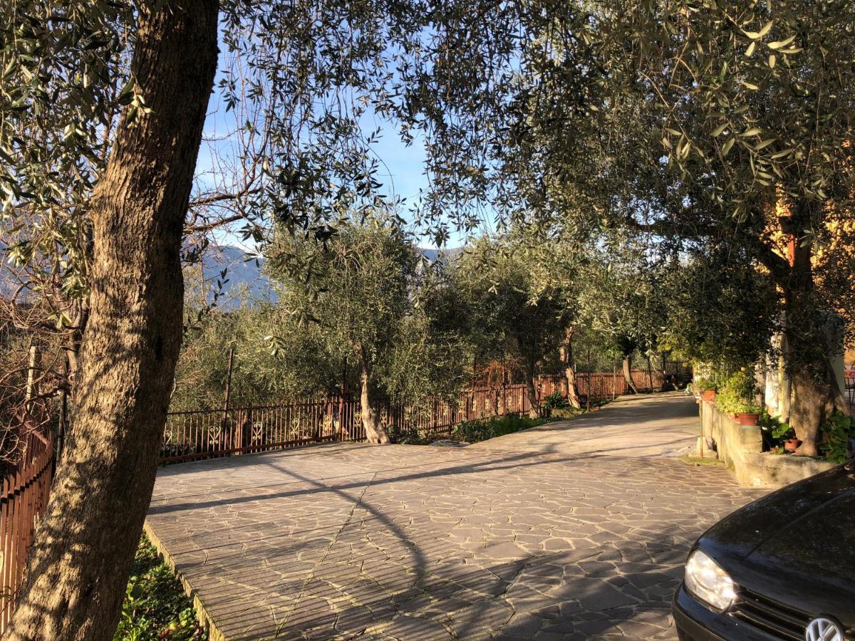 Appartamento Nonna Rosa Malcesine Exteriér fotografie